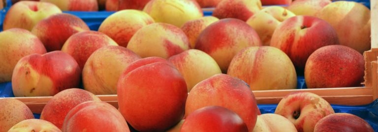 fruity-cider-enhance-cider-with-fruit-additions-diy-hard-cider